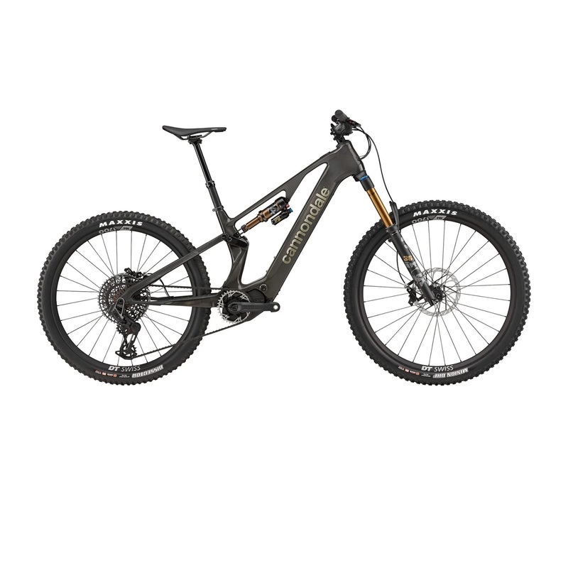 Cannondale Moterra Neo SL 1  2025 Raw L
