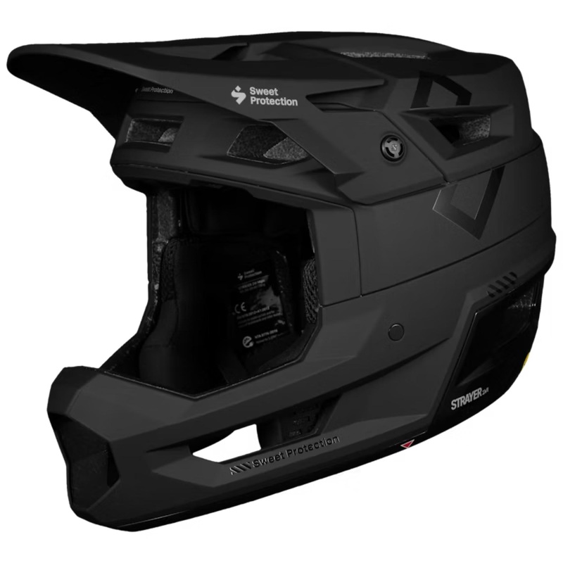 Sweet Protection Strayer 2Vi MIPS Helmet Matte Black SM