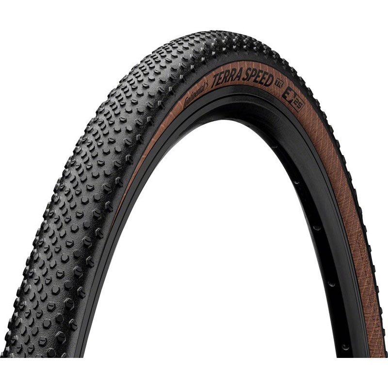 Continental Terra Speed Tire - 700 x 40 Tubeless Folding BLK/Transparent BLKChili ProTection E25