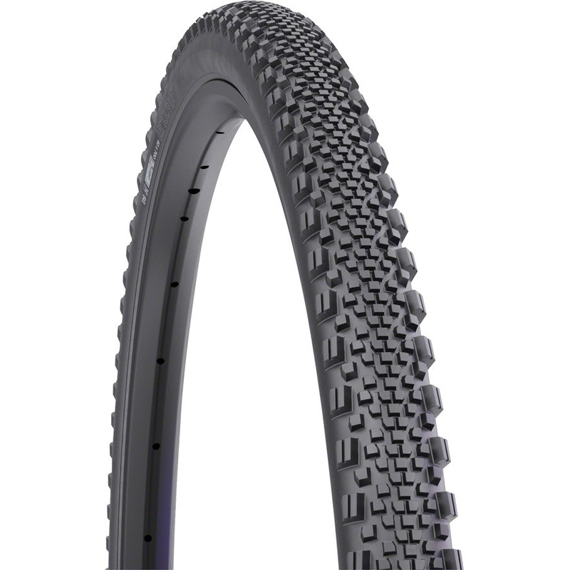 WTB Raddler Tire - 700 x 40 TCS Tubeless Folding BLK Light Fast Rolling SG2