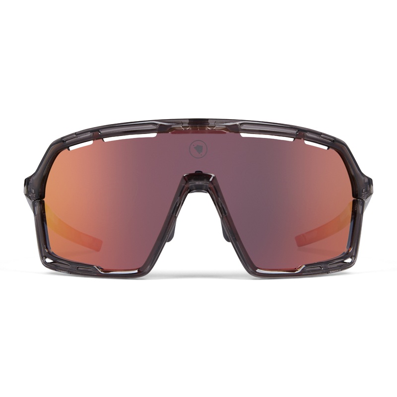 Endura Pro SL Glasses Set Grey One size