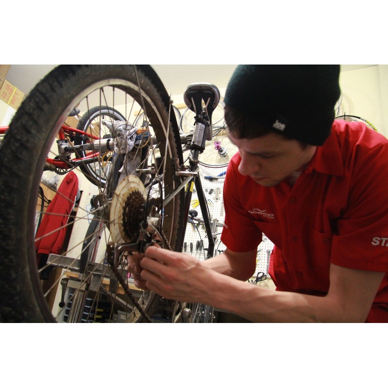 The Mamma - Tune up in THE GLEBE