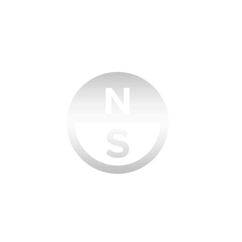 North Logo Vehicle Sticker X-Large set of 2